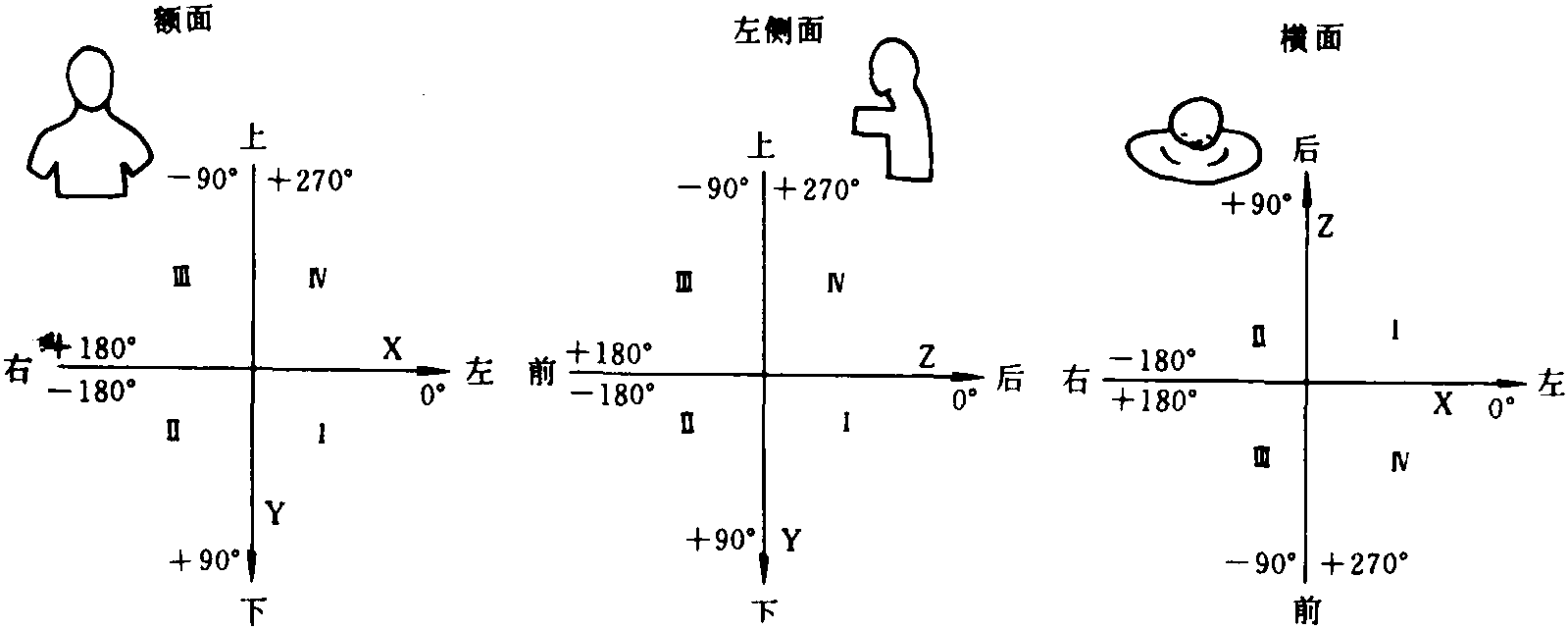 臨床心向量圖的產(chǎn)生機制